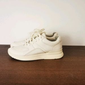 Everlane sneakers